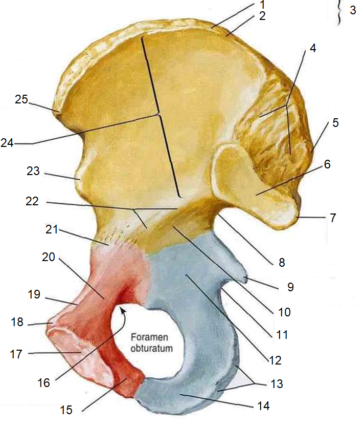 <p>3</p>