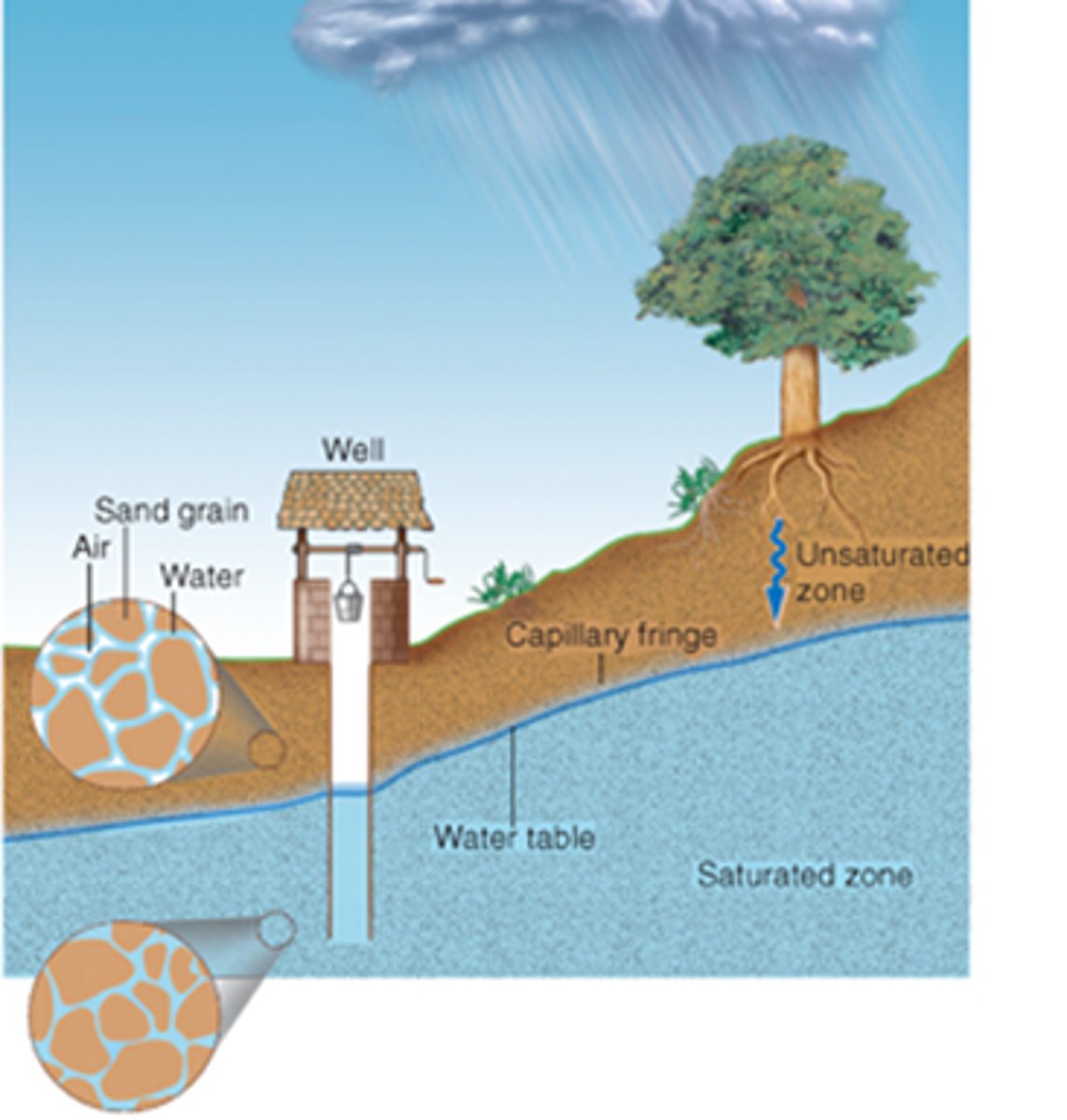 <p>The area just above the water table, in the zone of aeration, where water moves upward from the water table by capillary action.</p>
