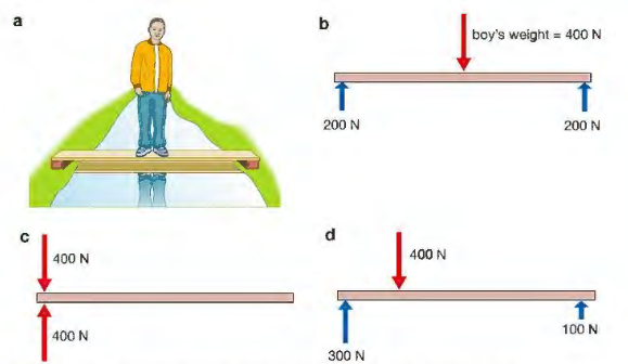 <p>-The beam above is placed on two supports. There is no single pivot for the beam to rotate around and therefore has a net moment of zero.</p><p>-Each pivot WILL however have a moment. These moments must be equal in size but opposite in direction.</p><p>-The beam is also not moving vertically which means the forces acting on it are balanced. The weight of the boy = the reaction forces from the points on the supports (ignoring the weigh of the beam).</p>