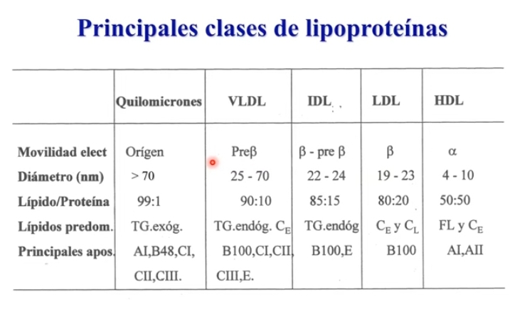 <p>Lipidos para ser transportados entre los diferentes órganos, debe ser realizada por Lipoproteinas.</p><p>Lipoproteinas= estructuras particulas con componente proteico y lipidico. El componente proteico brinda solubilidad para porder ser transportados a nivelmde la sangre.</p><p>Centro: core lipidico.</p><p>Superficie: fosfolipidos y colesterol libre</p>