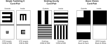 <ul><li><p>used when it is not possible to use a letter chart for VA</p></li><li><p>tested at 1m (100cm) and 0.25m (25cm) </p></li><li><p>consists of three card pairs, each containing 2×25cm square cards hinged together (4 panel faces/card) </p><ol><li><p>single tumbling E: used for measuring VA with a single optotype and px has to identify the direction the legs are facing </p></li><li><p>grating acuity card pair: px has to identify if the strips are orientated horizontally or vertically </p></li><li><p>basic vision card test: tests 2 aspects of vision:</p><ul><li><p>white field projection: 2 card faces are used (one black with white quadrant and one is divided into black and white halves) + px has to identify the location of the white area</p></li><li><p>black white discrimination: one card face is all black and one is all white and the px has to tell which one is black and which is white</p></li></ul></li></ol></li></ul>