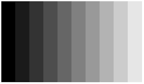 <p>Mach Bands illusion </p>