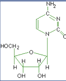 <p>What macromolecule is this?</p>