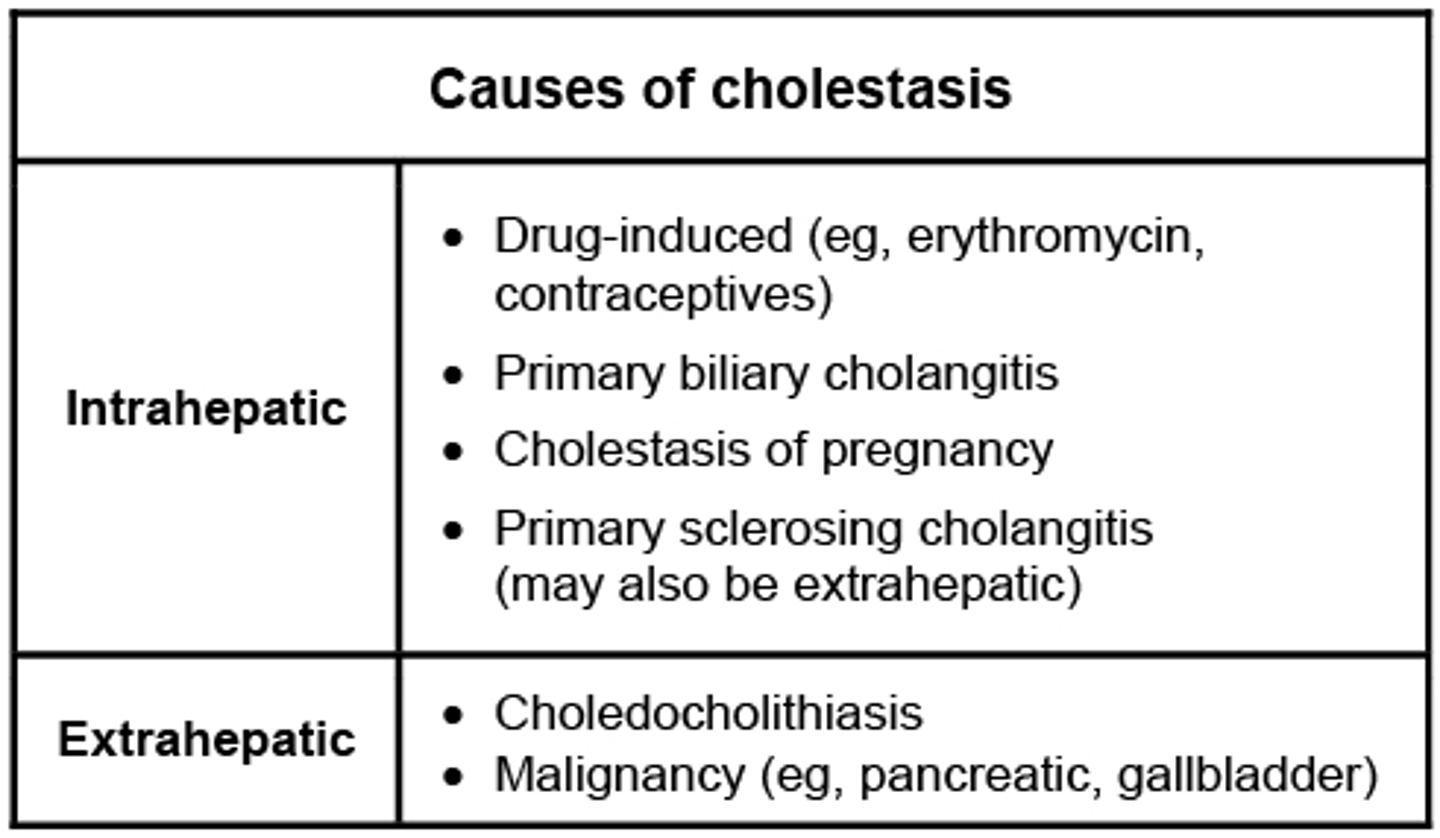 <p>obstruction of bile flow in hepatic lobules or bile ducts</p>