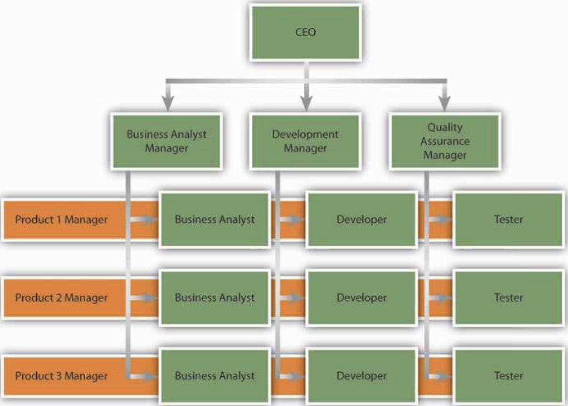 <p>cross a traditional functional structure with a product structure </p>