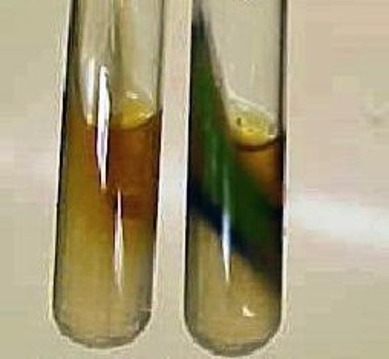 <p>positive, negative</p>