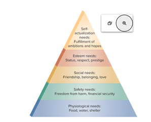 <ol><li><p><span style="line-height: 107%;"><strong><span>Psychological needs: </span></strong><span>Basic survival needs, to be satisfied first.</span></span></p></li><li><p class="MsoListParagraphCxSpMiddle"><span style="font-family: "Times New Roman"; line-height: normal; font-size: 7pt;"><span>&nbsp; </span></span><span style="line-height: 107%;"><strong><span>Safety needs: </span></strong><span>Self-preservation and physical well-being. Smoke detector and burglar alarm manufacturers focus on these needs.</span></span></p></li><li><p class="MsoListParagraphCxSpMiddle"><span style="font-family: "Times New Roman"; line-height: normal; font-size: 7pt;"><span>&nbsp; </span></span><span style="line-height: 107%;"><strong><span>Social needs: </span></strong><span>Love and friendship (Tinder, Eharmony, fragrance).</span></span></p></li><li><p class="MsoListParagraphCxSpMiddle"><span style="line-height: 107%;"><strong><span>Esteem needs:</span></strong><span> Need for achievement, status, prestige, and self-respect (specific brands). </span></span></p></li><li><p class="MsoListParagraphCxSpLast"><span style="line-height: 107%;"><strong><span>Self-actualization needs: </span></strong><span>Involves personal fulfillment (e.g. travelling).</span></span></p></li></ol><p></p>