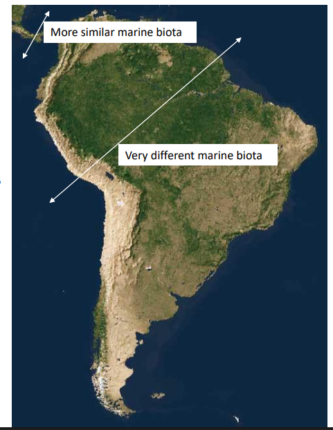 <p>larger barrier </p>