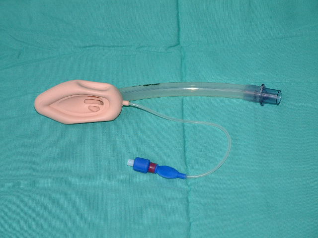 <p>This airway management device sits over the larynx. It is more commonly used in humans, and less designed for animals.</p>