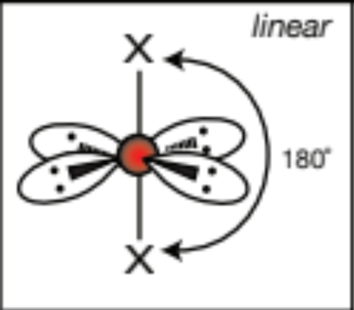 <p>linear, 180 degrees</p>