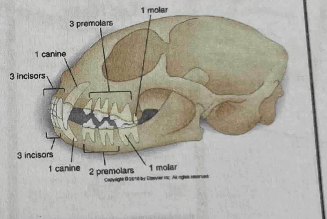 <p></p>