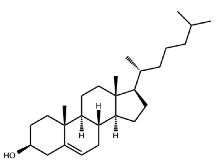 <p><span>The molecule of cholesterol above is</span></p>
