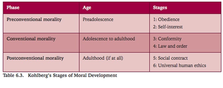 <p>Moral Development Theory</p>