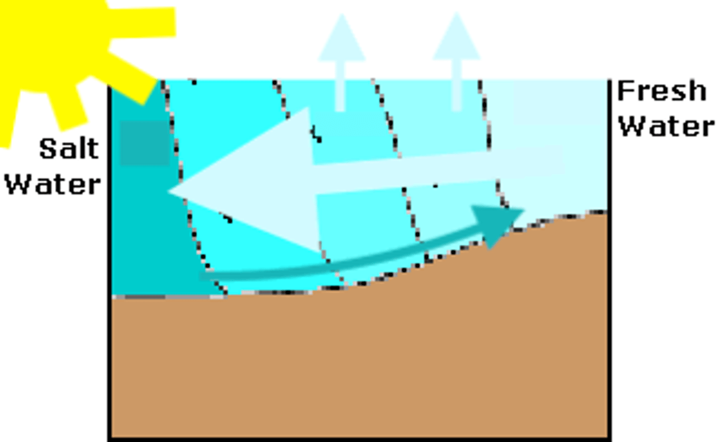 <p>an estuary in which the surface water from the river flows out to sea and saltwater from the ocean moves into the estuary along the bottom</p>