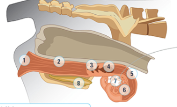 <p>what is #6</p>