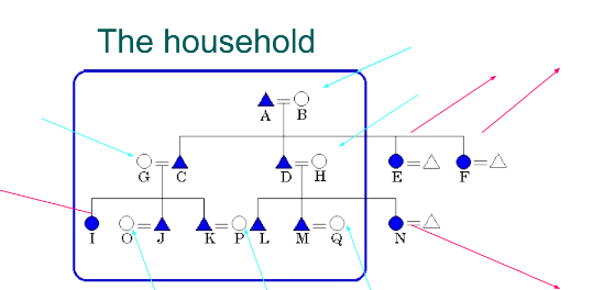 <p>In a patrilocal residence, if a husband and wife have four children, two sons and two daughters, who stays and who marries outside? What happens in the next generation?</p>