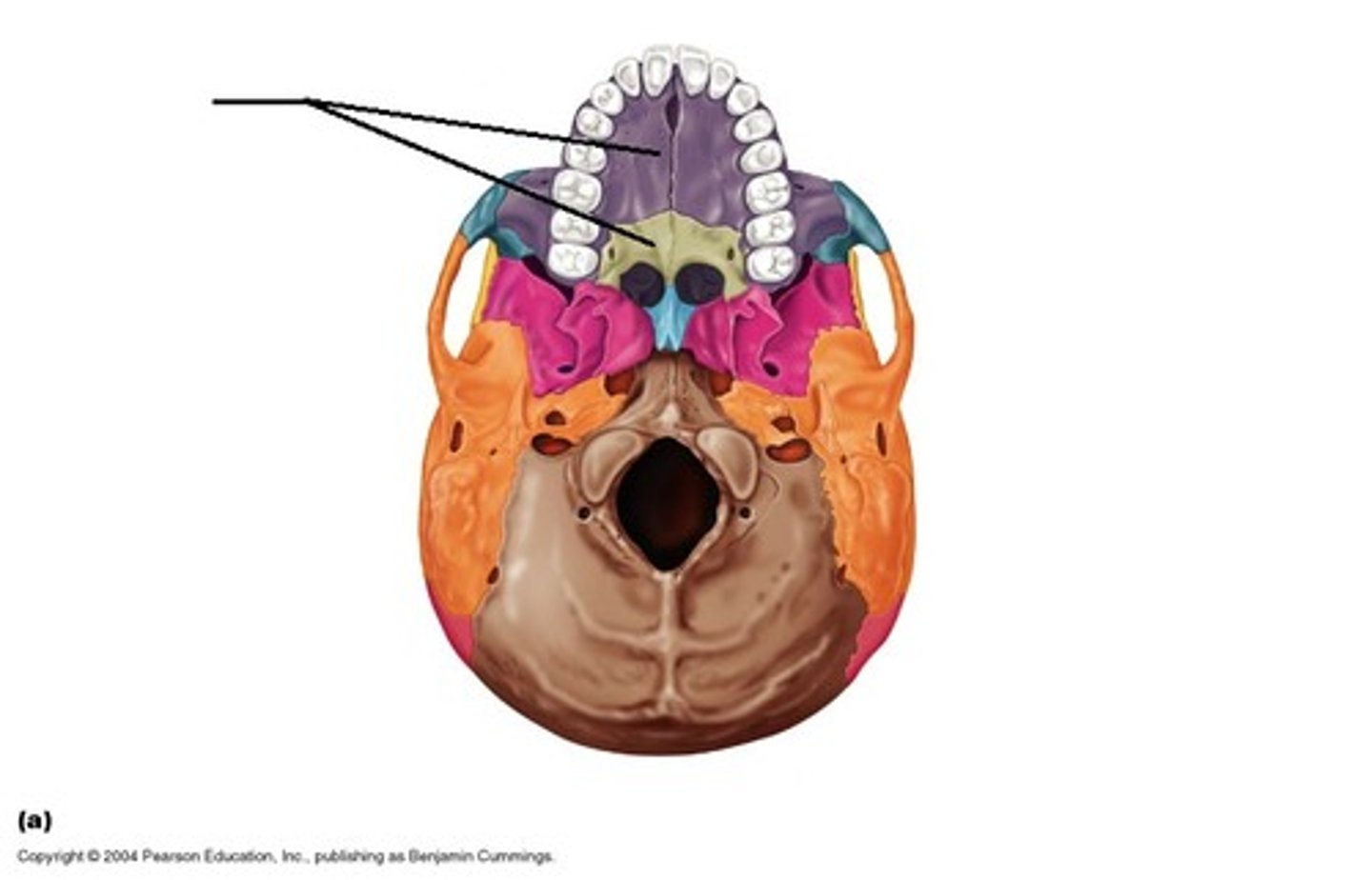 knowt flashcard image