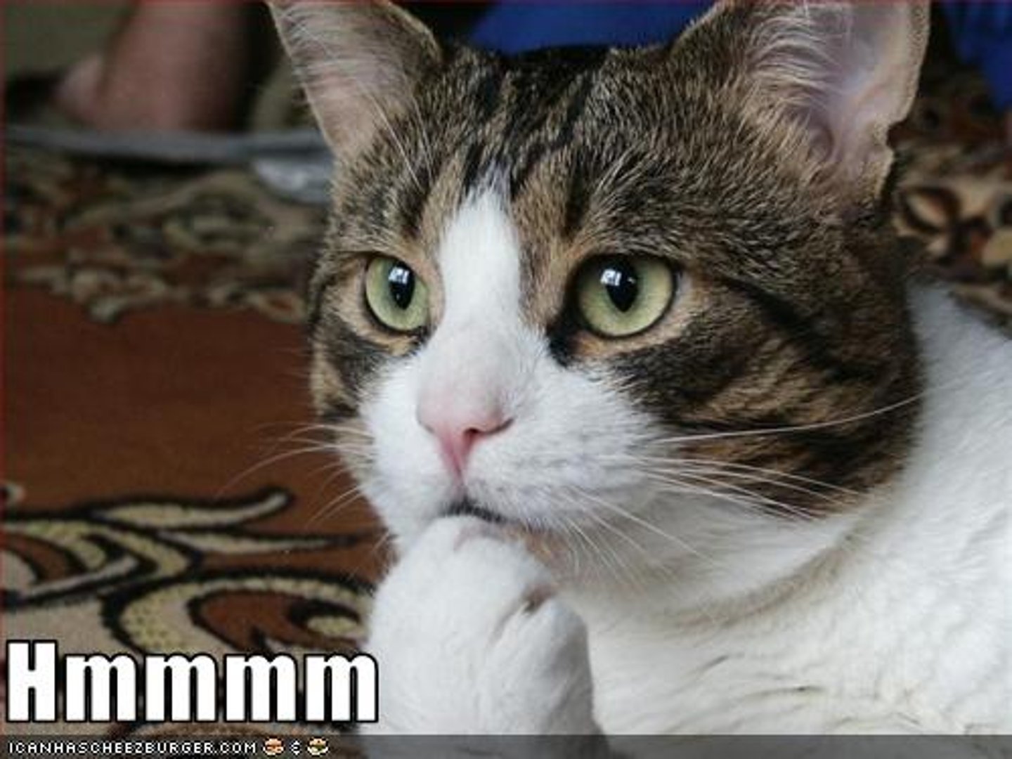 <p>to be interesting to</p>