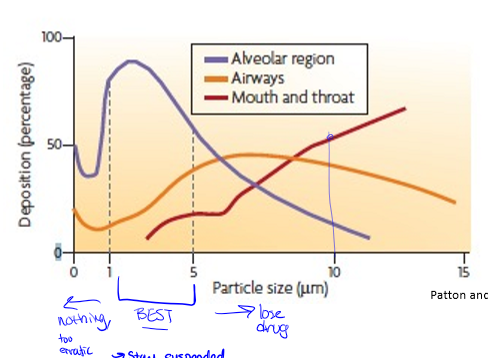 <p>best sized particle would be best absorbed in alveoli at 1-5 μm</p>