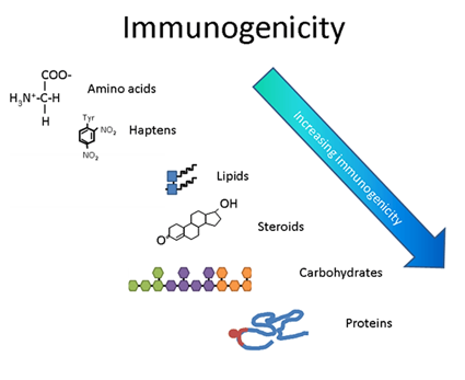 <p>Proteins, carbohydrate, lipid, haptens, amino acids, DNA</p>