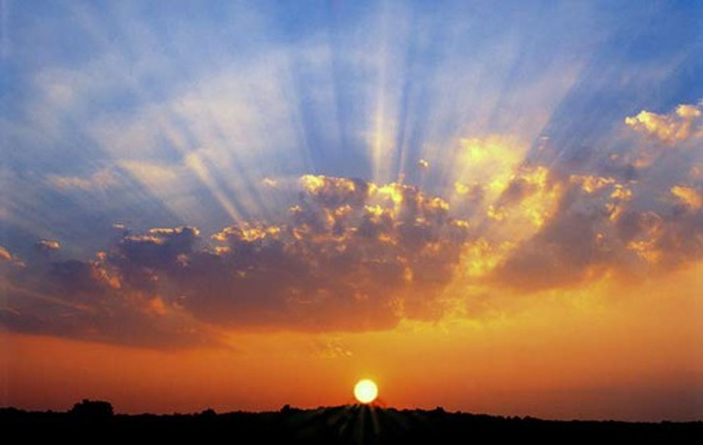 <p>in the morning (time before lunch)</p>