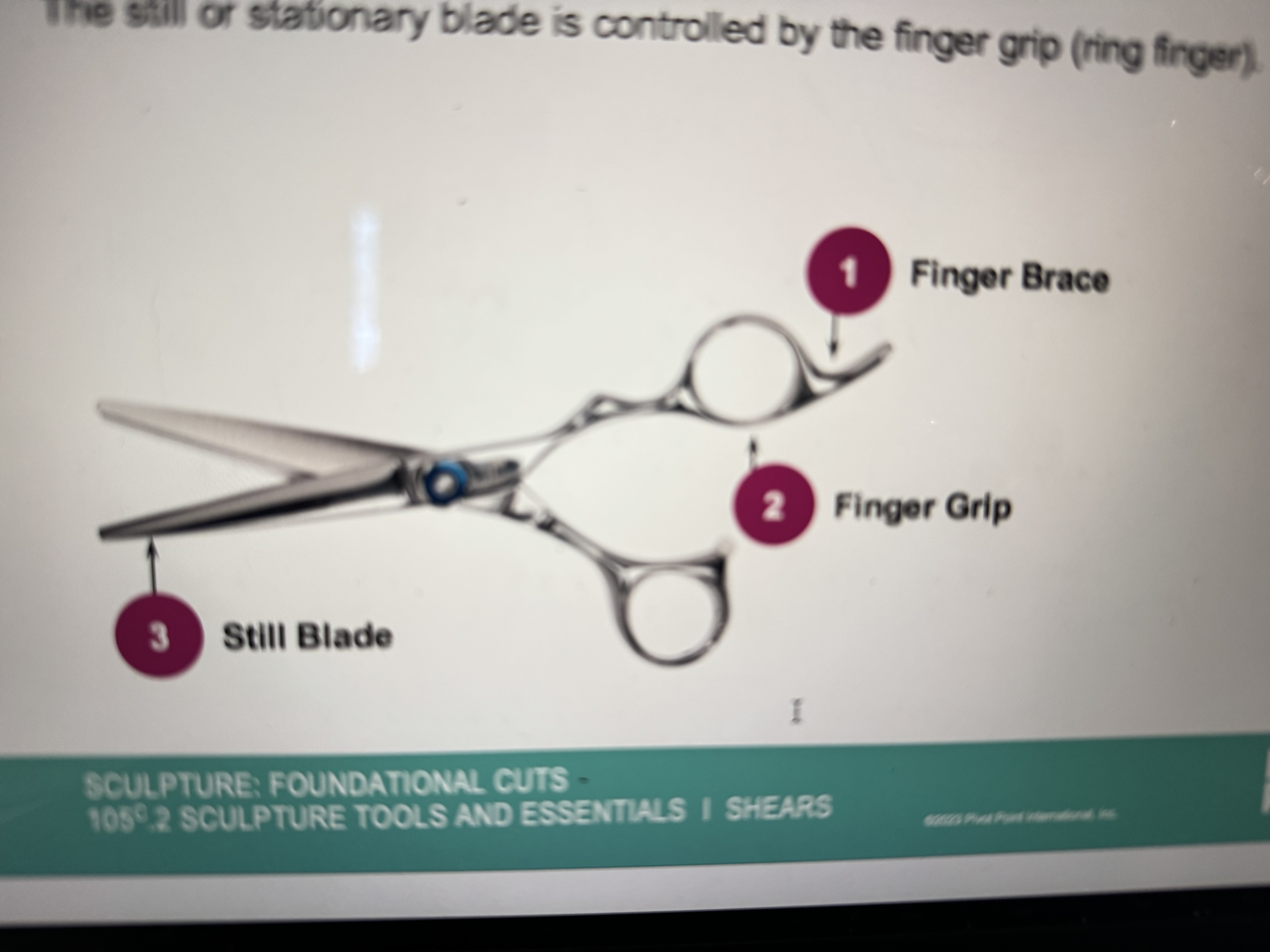 <p>parts of the shears</p>