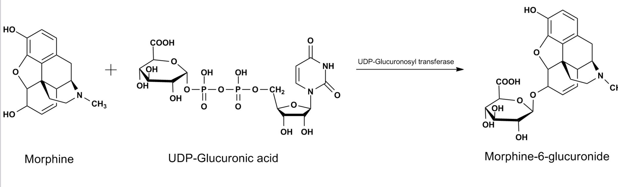 <p>What type of reaction is this?</p>