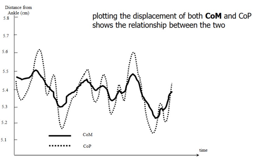 <ul><li><p>Position of CoM determines stability → CoM is continually changing (shifts must be controlled to maintain balance)→ the only force that acts on the body is the GRF → GRF is responsible for moving the CoM → to assess balance, measure instantaneous location of GRF i.e CoP. We are able to know that the CoP moves infront of the CoM (with greater magnitude) to arrest further motion of CoM so as to not go outside Base of Support thus balance and postural control.</p></li><li><p>y-axis: how far the CoM and CoP have moved relative to pivot point or the ankle. Neutral is 5.5cm in front of the ankle (where the CoP resides when standing). </p></li><li><p>CoP continuously moves forwards and backwards to keep the CoM within its confines.</p></li><li><p>To quantify this, look at the range of movement of the CoM and CoP.</p></li></ul><p></p>