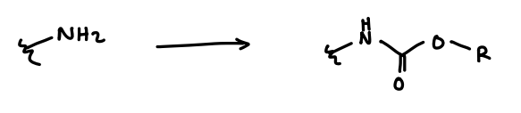 <p>Carbamates.</p>