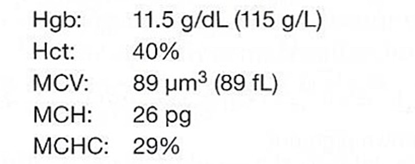 <p>Hgb concentration</p><p>- normochromic vs hypochromic</p>