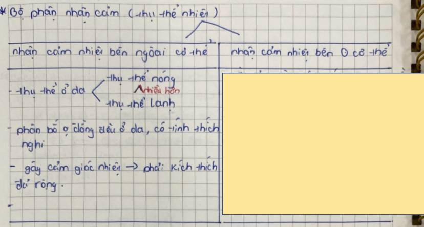 <p>Bộ phần nhạy cảm (….) gồm</p>