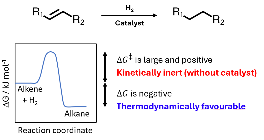 <ul><li><p>Alkene is reduced and hydrogen is oxidised - redox reaction</p></li><li><p>Overall delta G is negative - favourable, barrier is very high and requires a catalyst</p></li></ul><p></p>