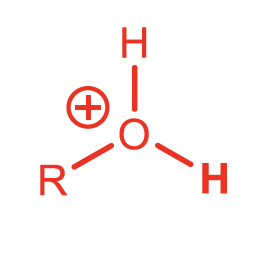 <p>Protonated Alcohol</p>