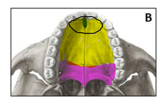 <p>label black circle</p>