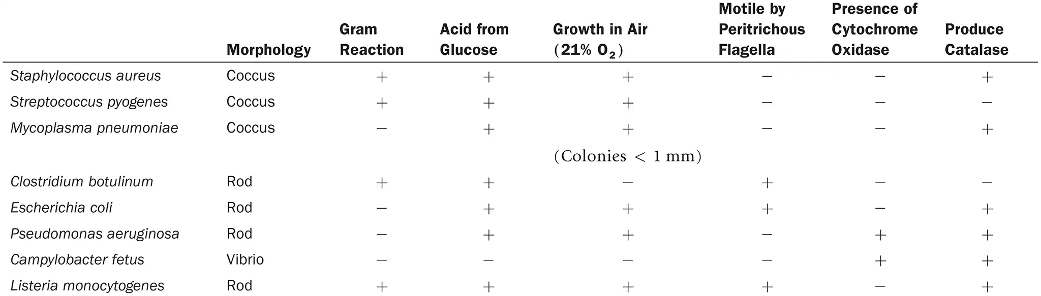 <p><strong>DRAW IT</strong> Use the information in the following table to complete the dichotomous key to these organisms.</p><img src="https://knowt-user-attachments.s3.amazonaws.com/a00948b6-1e3e-4fc9-8cd8-8c58fc875349.png" data-width="100%" data-align="center" alt="knowt flashcard image"><p></p>