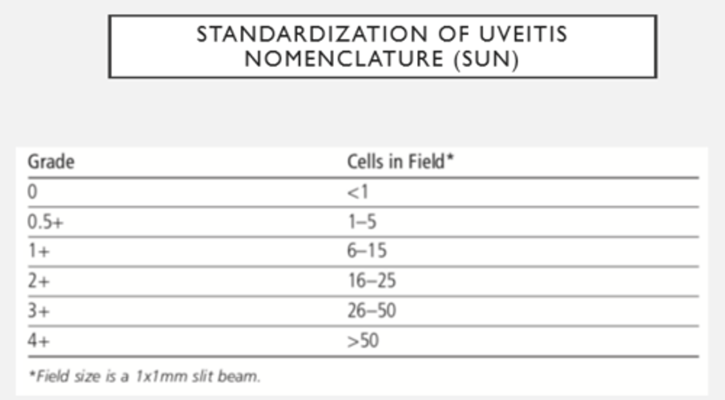 <p>- Flare = protein release --> cloudy</p><p>- Uveitis inflammation makes a lot of things leaky</p><p>- Ciliary body has blood aqueous barrier that prevents stuff from getting into AC</p>