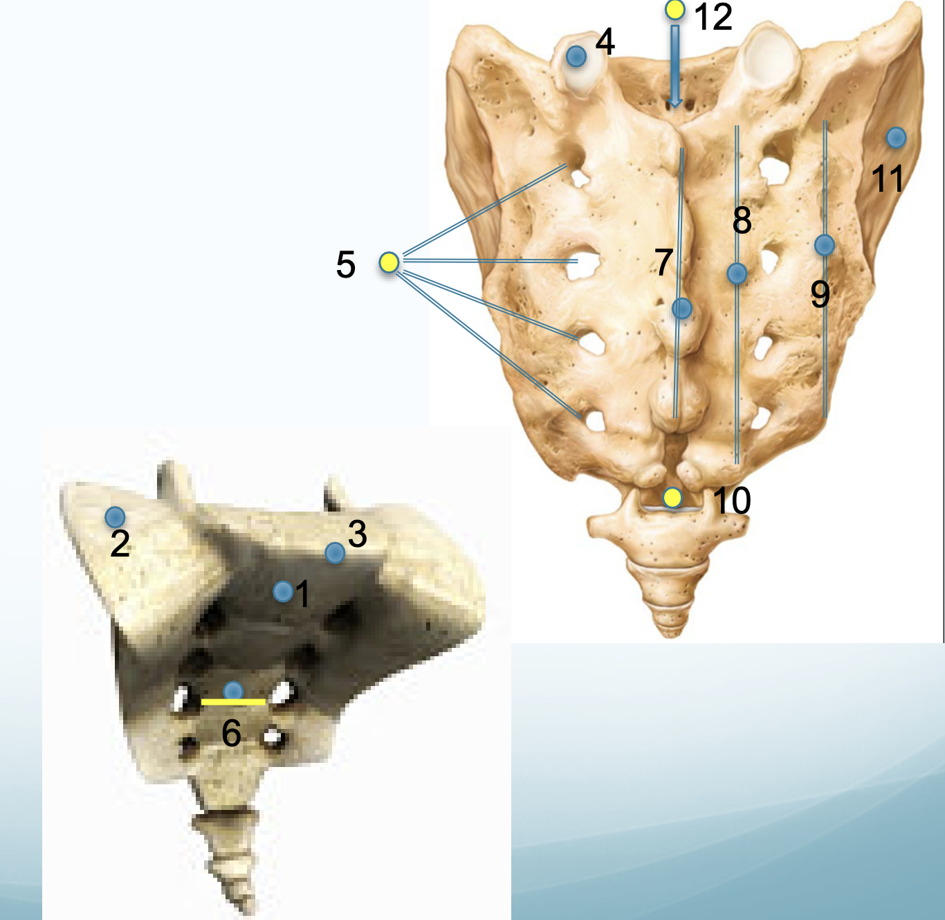 <p>4</p>