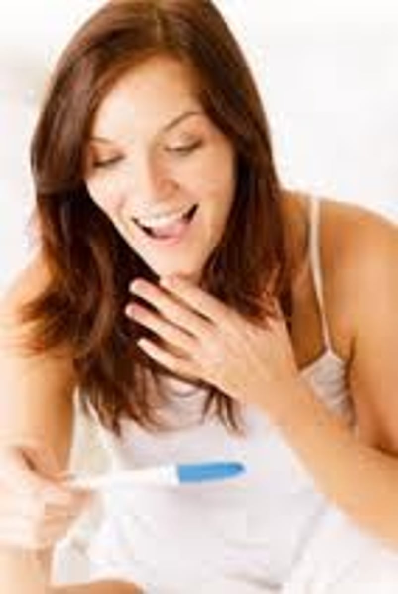 <p>woman in her first pregnancy</p>