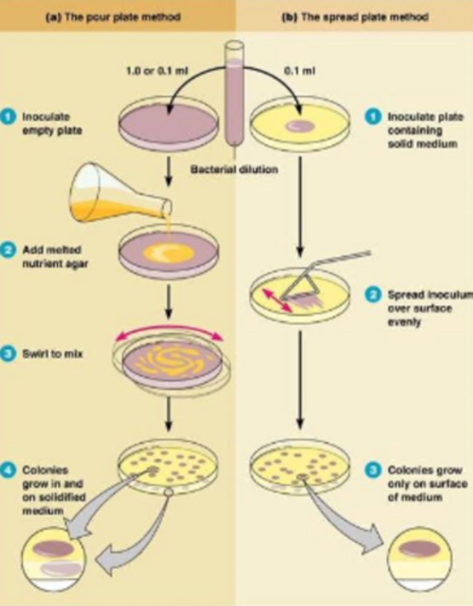 <p>viable microorganisms in an original sample</p>