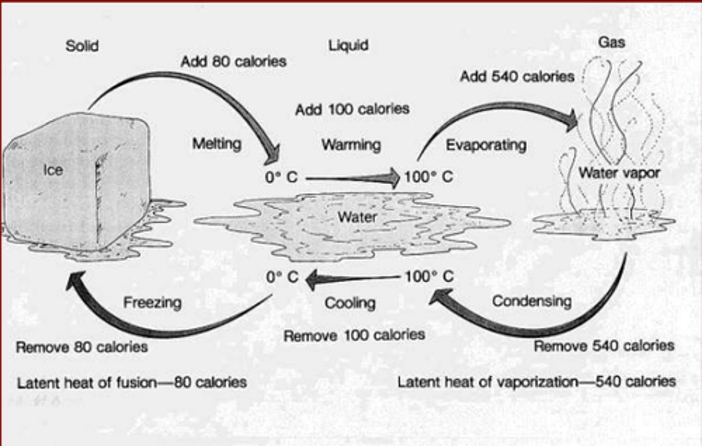 <p>performs cohesion, performs adhesion, is an excellent solvent, has a high surface tension, floats in a solid state, has a high heat capacity, and performs capillary action.</p>