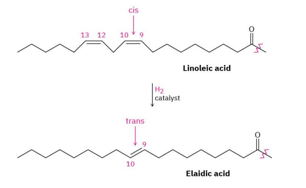 <ul><li><p>trans far can be produced by catalytic hydrogenation of vegetable oils</p></li><li><p>trans fats are no longer considered safe by the FDA</p><ul><li><p>increased cholesterol levels in the blood</p></li></ul></li></ul><p></p>