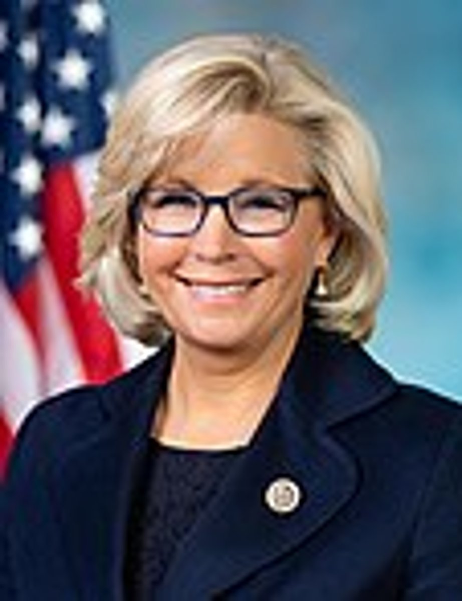 <p>She condemned Donald Trump for january 6th and accepted the election result.</p><p>This led to her being challenged in a primary and lost to a pro trump candidate.</p>