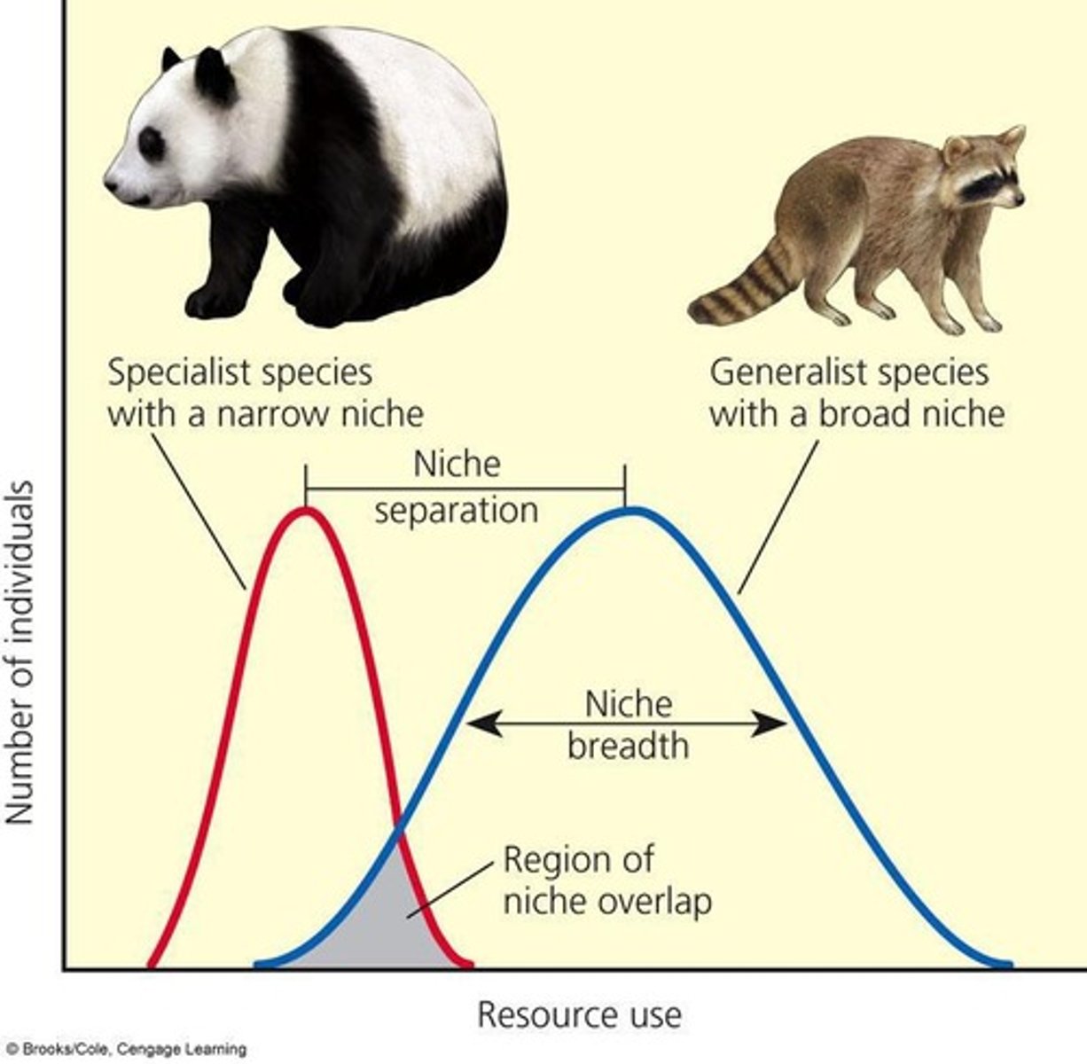 <p>Broad niche, diverse diet, adaptable habitats.</p>
