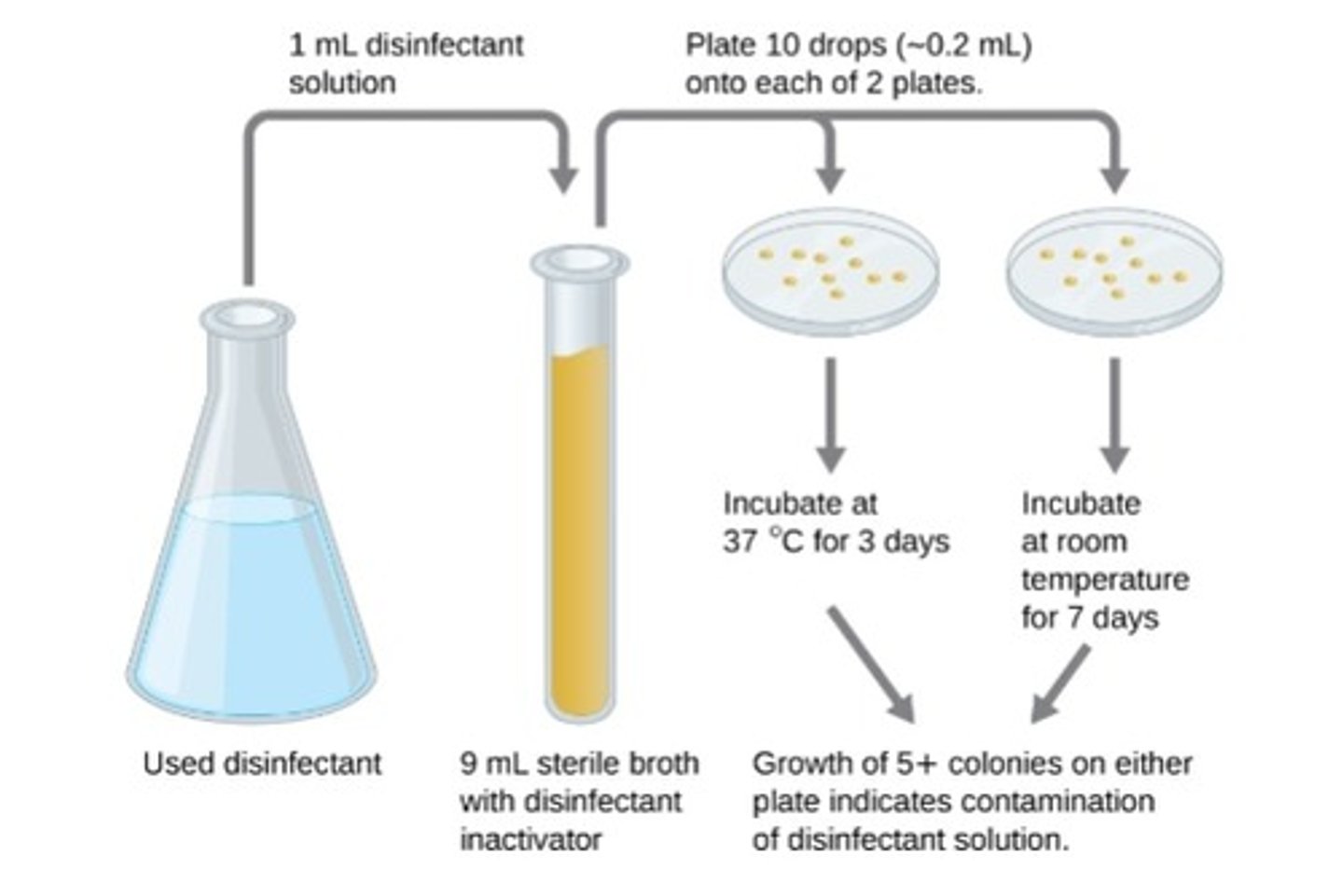 <p>•determine whether disinfectant is contaminated</p><p>•Usually used in clinical settings</p>
