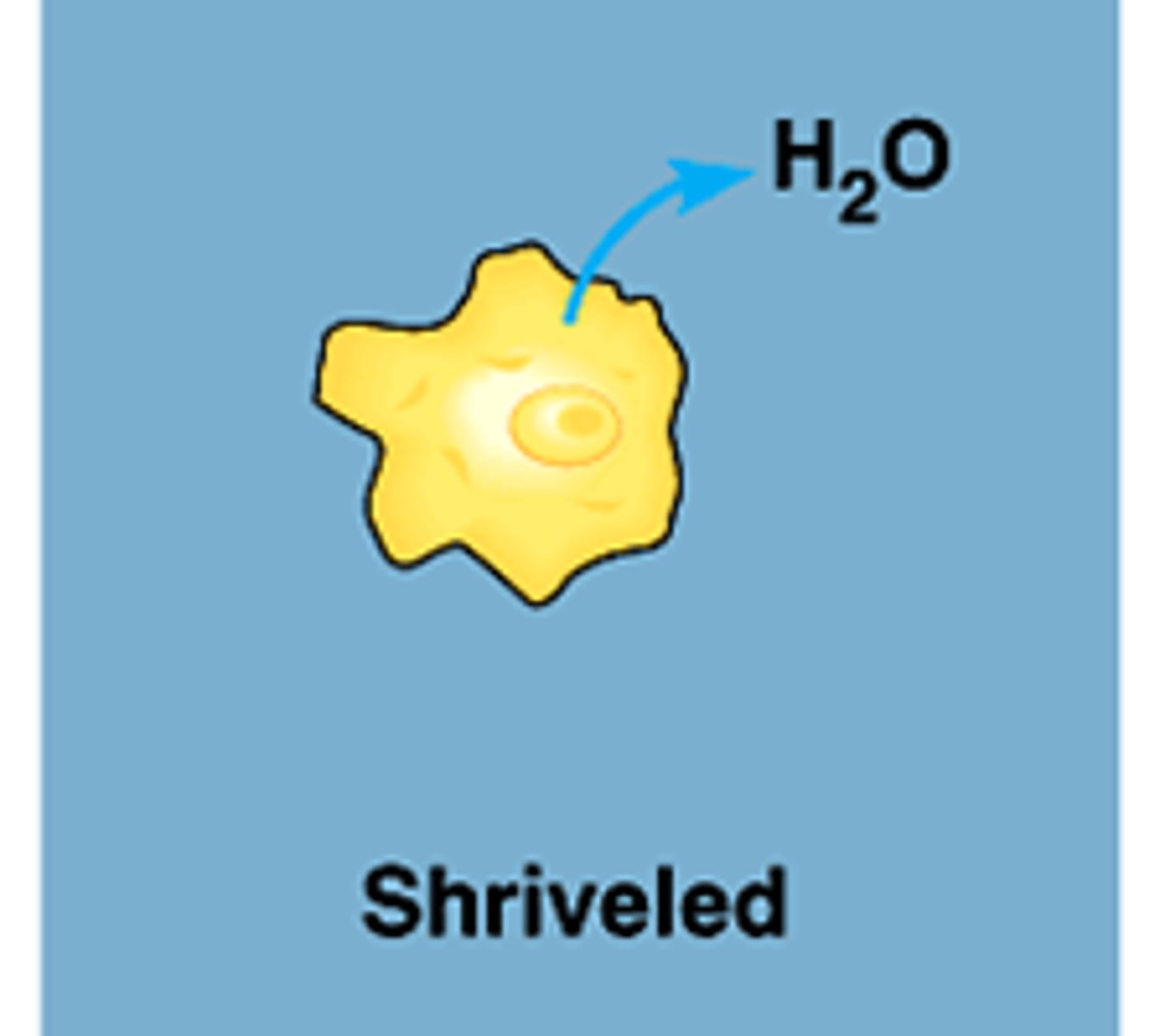 <p>Solution that has a higher concentration of solutes as another solution.</p>