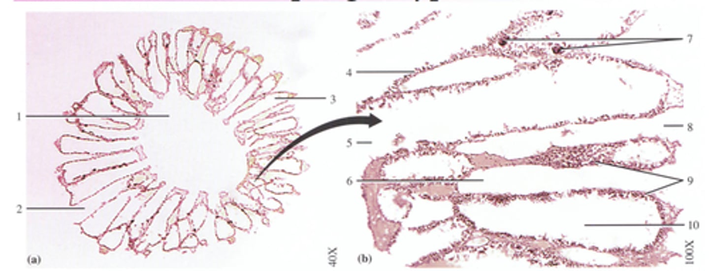 <p>what is labeled at number 2 and 6?</p>