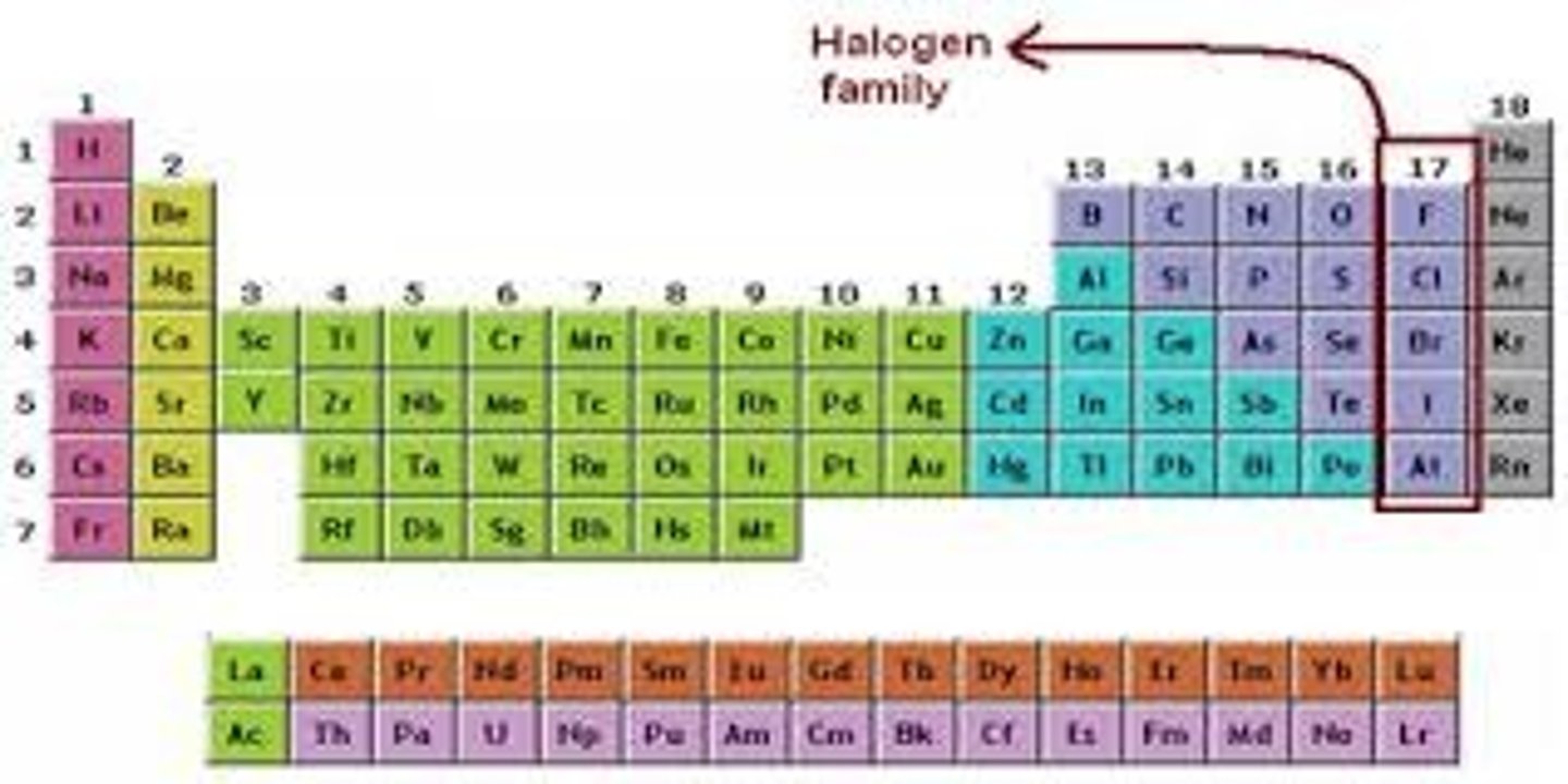<p>Halogens, -1</p>