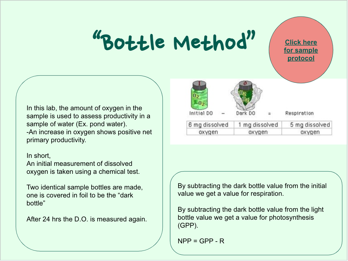 <p>Bottle Method</p>