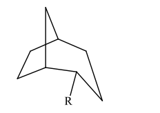 <p>The substituent R on the bicyclic compound shown is considered to be?</p>
