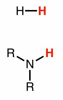 <p>hydrogen/amines</p>